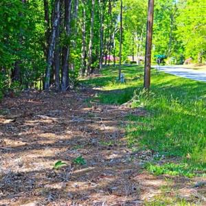 Photo of SOLD!!  1.02 Acres of Residential Land For Sale in Halifax County NC!