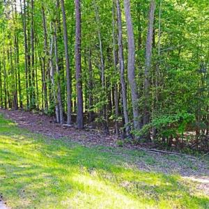 Photo of SOLD!!  1.02 Acres of Residential Land For Sale in Halifax County NC!