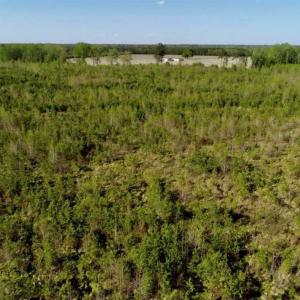 Photo of REDUCED!  218 Acres of Hunting and Timber Land For Sale in Gates County NC!