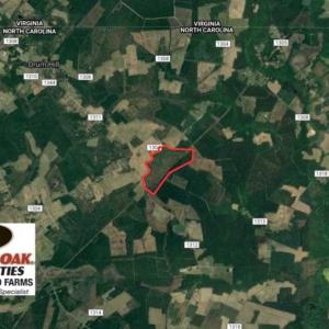Photo of REDUCED!  218 Acres of Hunting and Timber Land For Sale in Gates County NC!