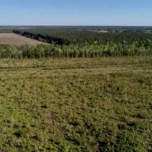 Photo of REDUCED!  218 Acres of Hunting and Timber Land For Sale in Gates County NC!