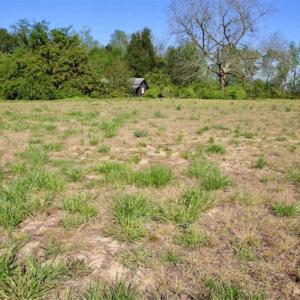 Photo of SOLD!!  1 Acre Lot For Sale in Washington County NC!
