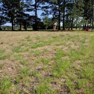 Photo of SOLD!!  1 Acre Lot For Sale in Washington County NC!
