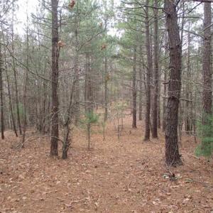 Photo of UNDER CONTRACT!! 33 Acres of Residential and Hunting Land in Alleghany County VA!