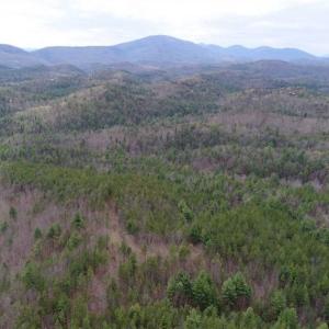 Photo of UNDER CONTRACT!! 33 Acres of Residential and Hunting Land in Alleghany County VA!