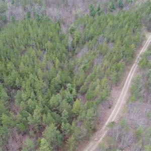 Photo of UNDER CONTRACT!! 33 Acres of Residential and Hunting Land in Alleghany County VA!