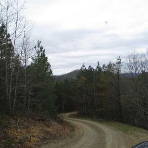 Photo of UNDER CONTRACT!! 33 Acres of Residential and Hunting Land in Alleghany County VA!