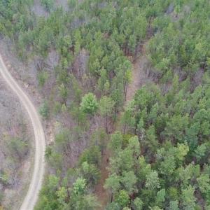 Photo of UNDER CONTRACT!! 33 Acres of Residential and Hunting Land in Alleghany County VA!