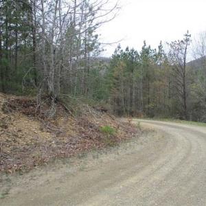 Photo of UNDER CONTRACT!! 33 Acres of Residential and Hunting Land in Alleghany County VA!