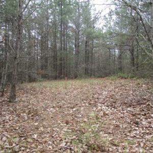 Photo of UNDER CONTRACT!! 33 Acres of Residential and Hunting Land in Alleghany County VA!