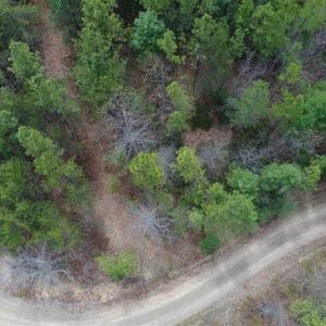 Photo of UNDER CONTRACT!! 33 Acres of Residential and Hunting Land in Alleghany County VA!