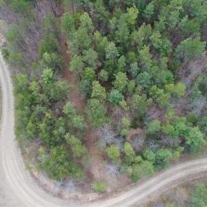 Photo of UNDER CONTRACT!! 33 Acres of Residential and Hunting Land in Alleghany County VA!