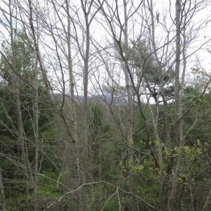 Photo of UNDER CONTRACT!! 33 Acres of Residential and Hunting Land in Alleghany County VA!