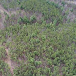 Photo of UNDER CONTRACT!! 33 Acres of Residential and Hunting Land in Alleghany County VA!