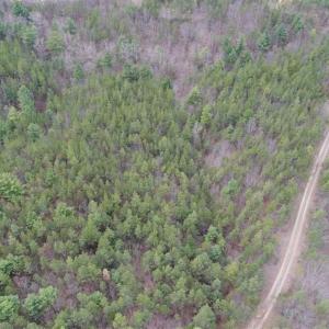 Photo of UNDER CONTRACT!! 33 Acres of Residential and Hunting Land in Alleghany County VA!