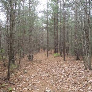 Photo of UNDER CONTRACT!! 33 Acres of Residential and Hunting Land in Alleghany County VA!