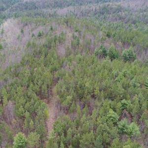 Photo of UNDER CONTRACT!! 33 Acres of Residential and Hunting Land in Alleghany County VA!