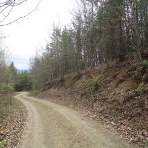 Photo of UNDER CONTRACT!! 33 Acres of Residential and Hunting Land in Alleghany County VA!