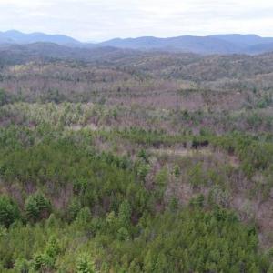 Photo of UNDER CONTRACT!! 33 Acres of Residential and Hunting Land in Alleghany County VA!