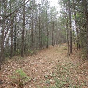 Photo of UNDER CONTRACT!! 33 Acres of Residential and Hunting Land in Alleghany County VA!