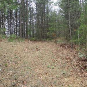 Photo of UNDER CONTRACT!! 33 Acres of Residential and Hunting Land in Alleghany County VA!