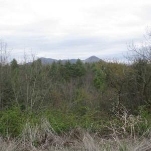 Photo of UNDER CONTRACT!! 33 Acres of Residential and Hunting Land in Alleghany County VA!
