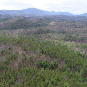 Photo of UNDER CONTRACT!! 33 Acres of Residential and Hunting Land in Alleghany County VA!