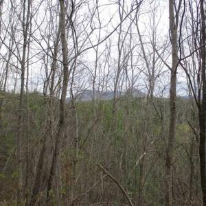Photo of UNDER CONTRACT!! 33 Acres of Residential and Hunting Land in Alleghany County VA!