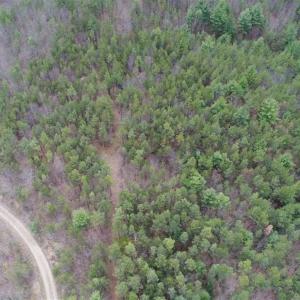 Photo of UNDER CONTRACT!! 33 Acres of Residential and Hunting Land in Alleghany County VA!