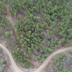 Photo of UNDER CONTRACT!! 33 Acres of Residential and Hunting Land in Alleghany County VA!