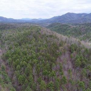 Photo of UNDER CONTRACT!! 33 Acres of Residential and Hunting Land in Alleghany County VA!