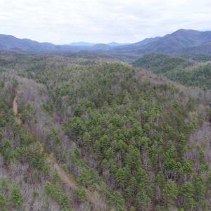 Photo of UNDER CONTRACT!! 33 Acres of Residential and Hunting Land in Alleghany County VA!