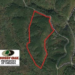 Photo of UNDER CONTRACT!! 33 Acres of Residential and Hunting Land in Alleghany County VA!