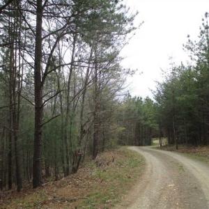 Photo of UNDER CONTRACT!! 33 Acres of Residential and Hunting Land in Alleghany County VA!