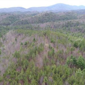 Photo of UNDER CONTRACT!! 33 Acres of Residential and Hunting Land in Alleghany County VA!