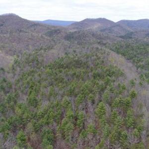 Photo of UNDER CONTRACT!! 33 Acres of Residential and Hunting Land in Alleghany County VA!
