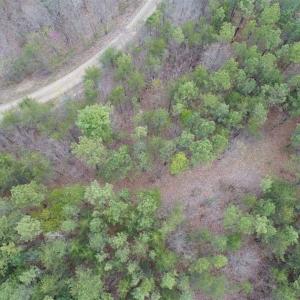 Photo of UNDER CONTRACT!! 33 Acres of Residential and Hunting Land in Alleghany County VA!