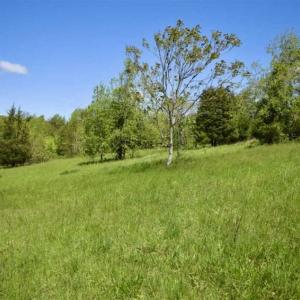 Photo of SOLD!!  34 Acres with Mountain Views & Country Home For Sale in Bedford County VA!