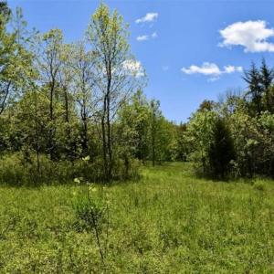 Photo of SOLD!!  34 Acres with Mountain Views & Country Home For Sale in Bedford County VA!