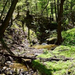 Photo of SOLD!!  34 Acres with Mountain Views & Country Home For Sale in Bedford County VA!