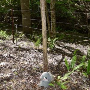 Photo of SOLD!!  34 Acres with Mountain Views & Country Home For Sale in Bedford County VA!