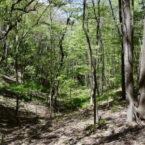 Photo of SOLD!!  34 Acres with Mountain Views & Country Home For Sale in Bedford County VA!