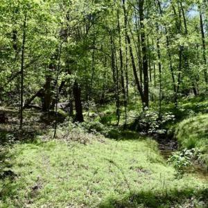 Photo of SOLD!!  34 Acres with Mountain Views & Country Home For Sale in Bedford County VA!