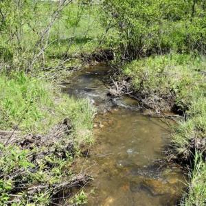 Photo of SOLD!!  34 Acres with Mountain Views & Country Home For Sale in Bedford County VA!