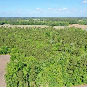 Photo of SOLD!!  48.41 Acres of Farm and Hunting Land For Sale in Columbus County NC!