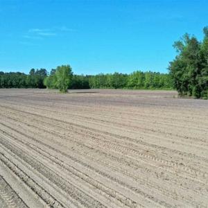 Photo of SOLD!!  48.41 Acres of Farm and Hunting Land For Sale in Columbus County NC!