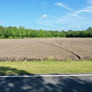 Photo of SOLD!!  48.41 Acres of Farm and Hunting Land For Sale in Columbus County NC!