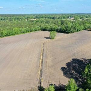 Photo of SOLD!!  48.41 Acres of Farm and Hunting Land For Sale in Columbus County NC!