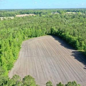 Photo of SOLD!!  48.41 Acres of Farm and Hunting Land For Sale in Columbus County NC!