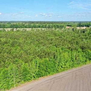 Photo of SOLD!!  48.41 Acres of Farm and Hunting Land For Sale in Columbus County NC!